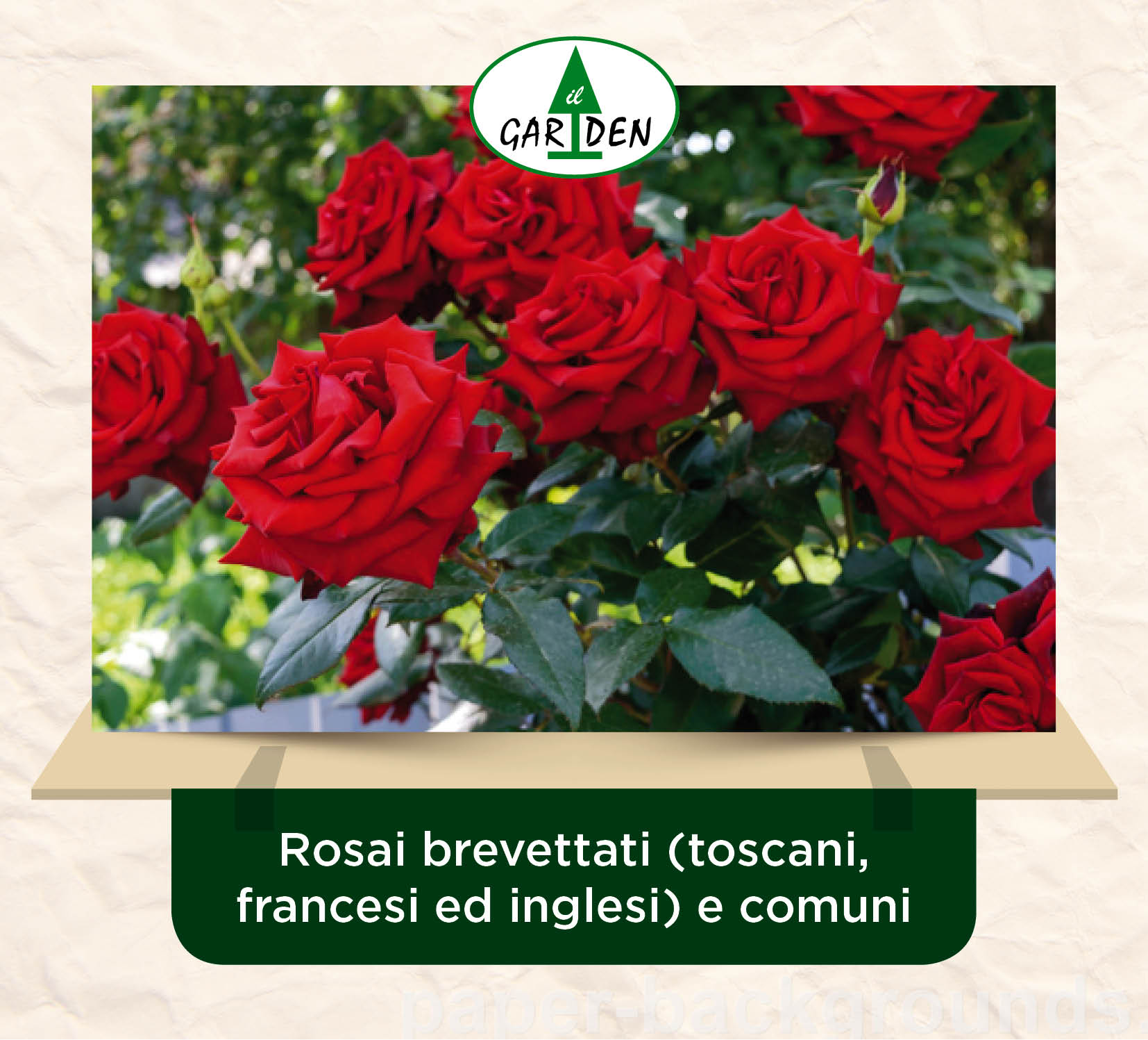 img post vetrina garden apr2019 9